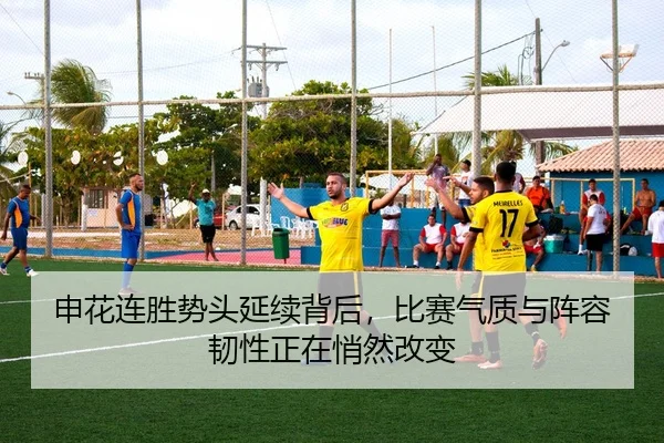 申花连胜势头延续背后，比赛气质与阵容韧性正在悄然改变